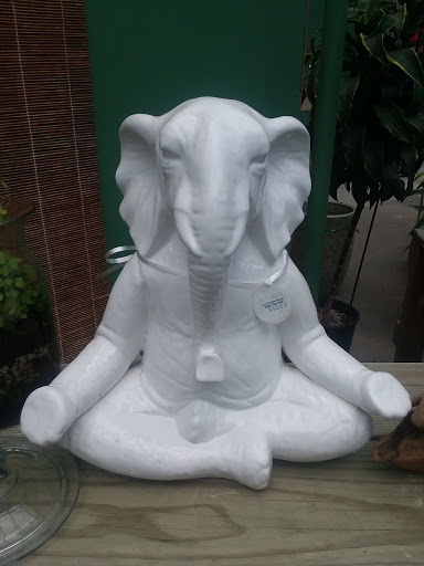 Florist «La Crosse Floral», reviews and photos, 2900 Floral Ln, La Crosse, WI 54601, USA