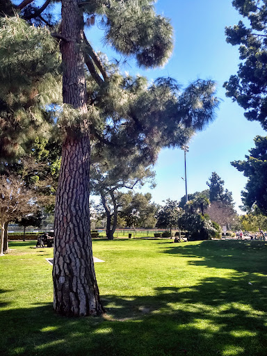 Park «La Cienega Park», reviews and photos, 8400 Gregory Way, Beverly Hills, CA 90211, USA