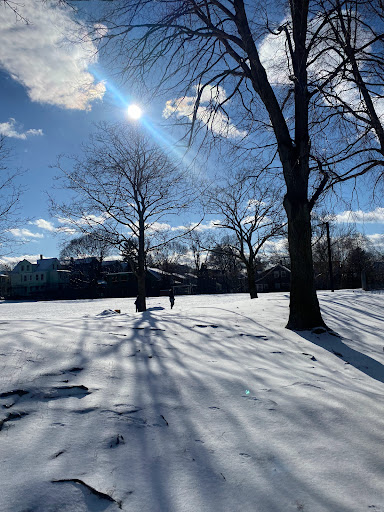 Park «Raymond Park», reviews and photos, Raymond St, Cambridge, MA 02140, USA