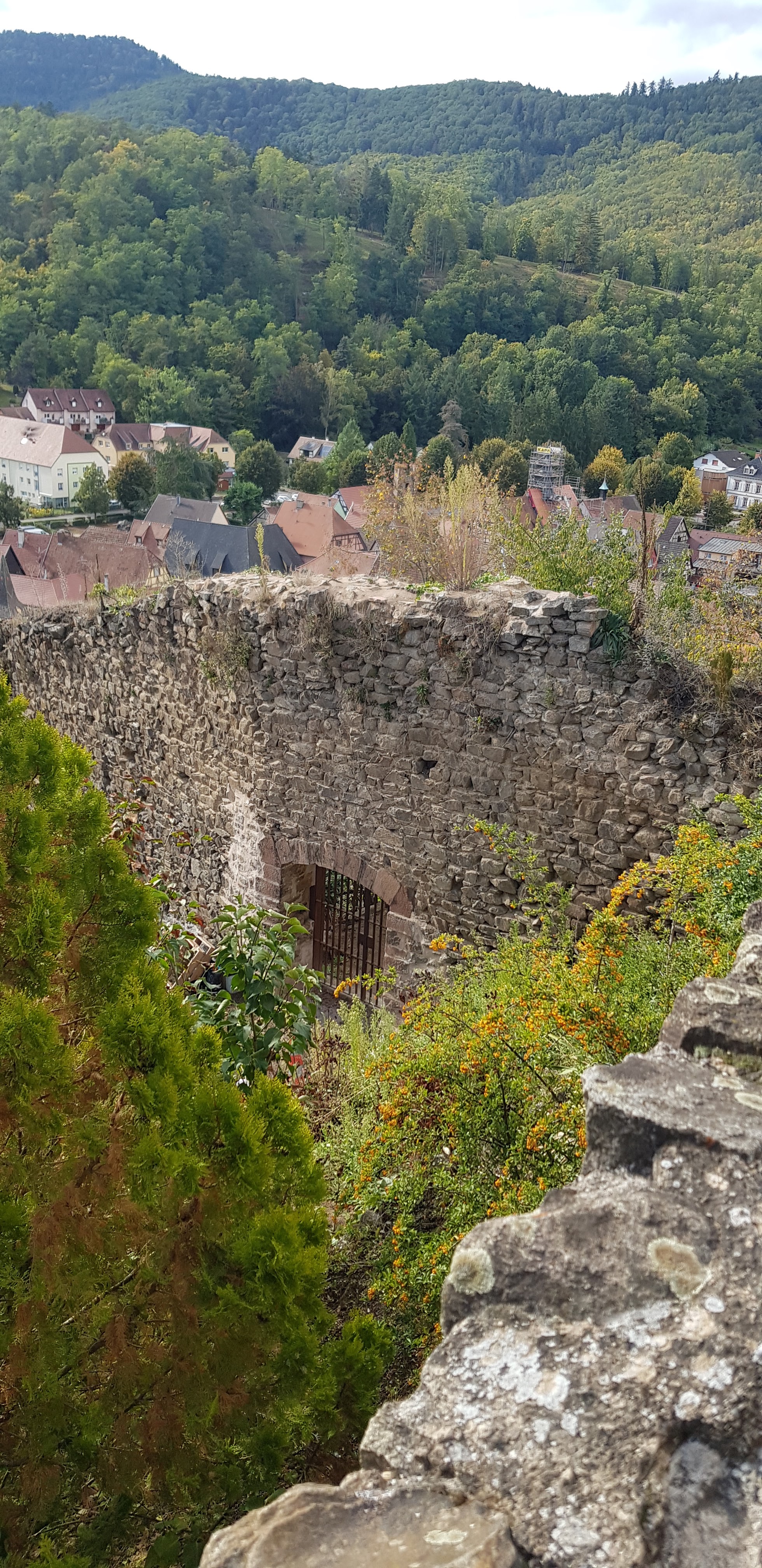 Photo n° 7 de l'avis de Nadine.a fait le 05/10/2021 à 15:20