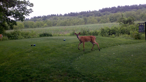 Golf Driving Range «Patriot Golf Course», reviews and photos, 200 Springs Rd, Bedford, MA 01730, USA