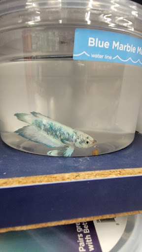 Pet Supply Store «Petco Animal Supplies», reviews and photos, 12960 Middlebrook Road #520a, Germantown, MD 20874, USA