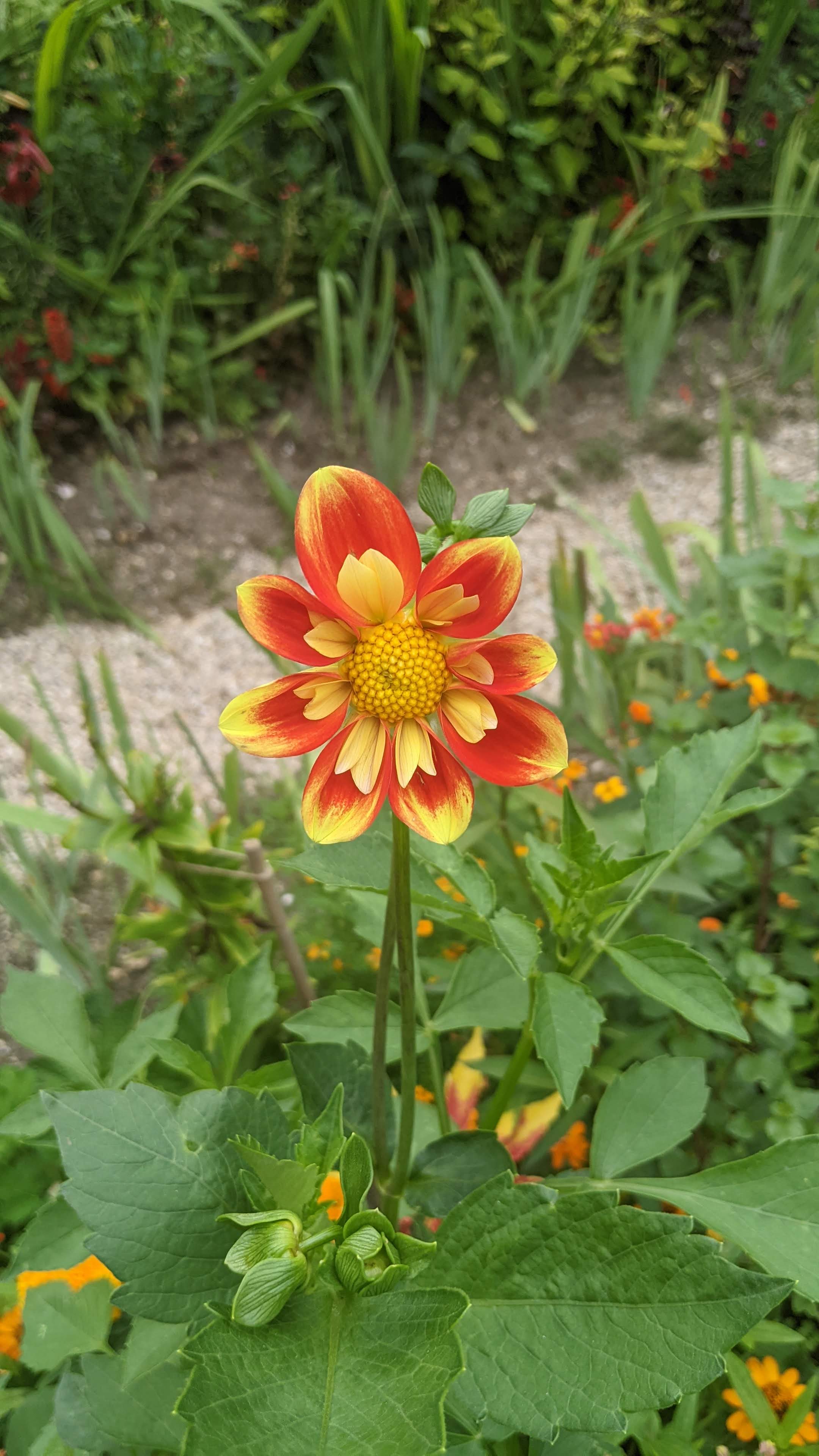 Photo n° 10 de l'avis de Jean-François.o fait le 28/07/2022 à 08:24