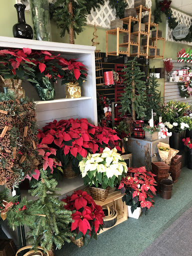 Florist «Countryside Florist», reviews and photos, 4 Orchard View Dr, Londonderry, NH 03053, USA