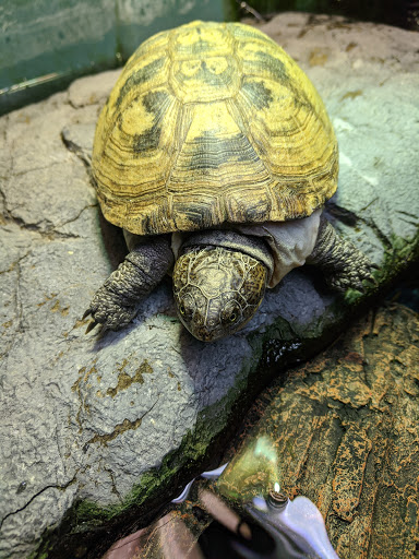 Pet Store «Fin-N-Feather», reviews and photos, 2931 F St, Eureka, CA 95501, USA