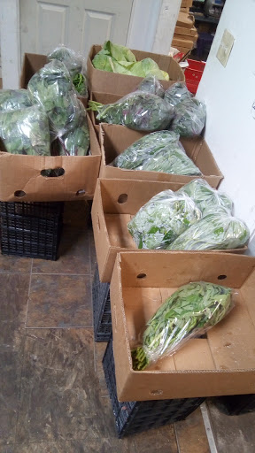 Asian Grocery Store «Tan A Grocery LLC», reviews and photos, 414 Ash St, Syracuse, NY 13208, USA