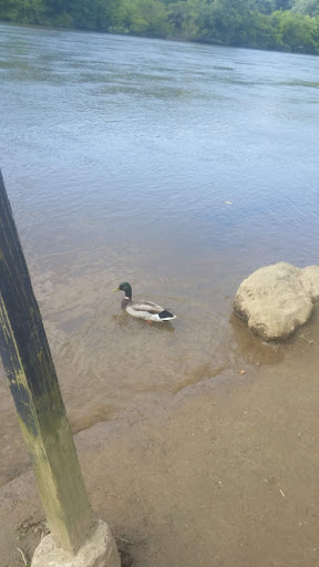 Hiking Area «Gold Branch Trail», reviews and photos, 6156 Lower Roswell Rd, Marietta, GA 30068, USA