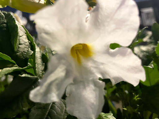 Home Improvement Store «The Home Depot», reviews and photos, 899 County St, Taunton, MA 02780, USA