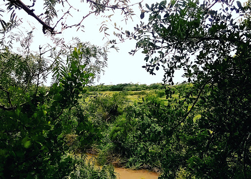 Park «C B Wood Park», reviews and photos, 400 W Harding Ave, Harlingen, TX 78550, USA