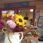 Photo n°2 de l'avis de Sylke.r fait le 24/09/2021 à 17:29 sur le  Karina's Fischgarten à Zingst