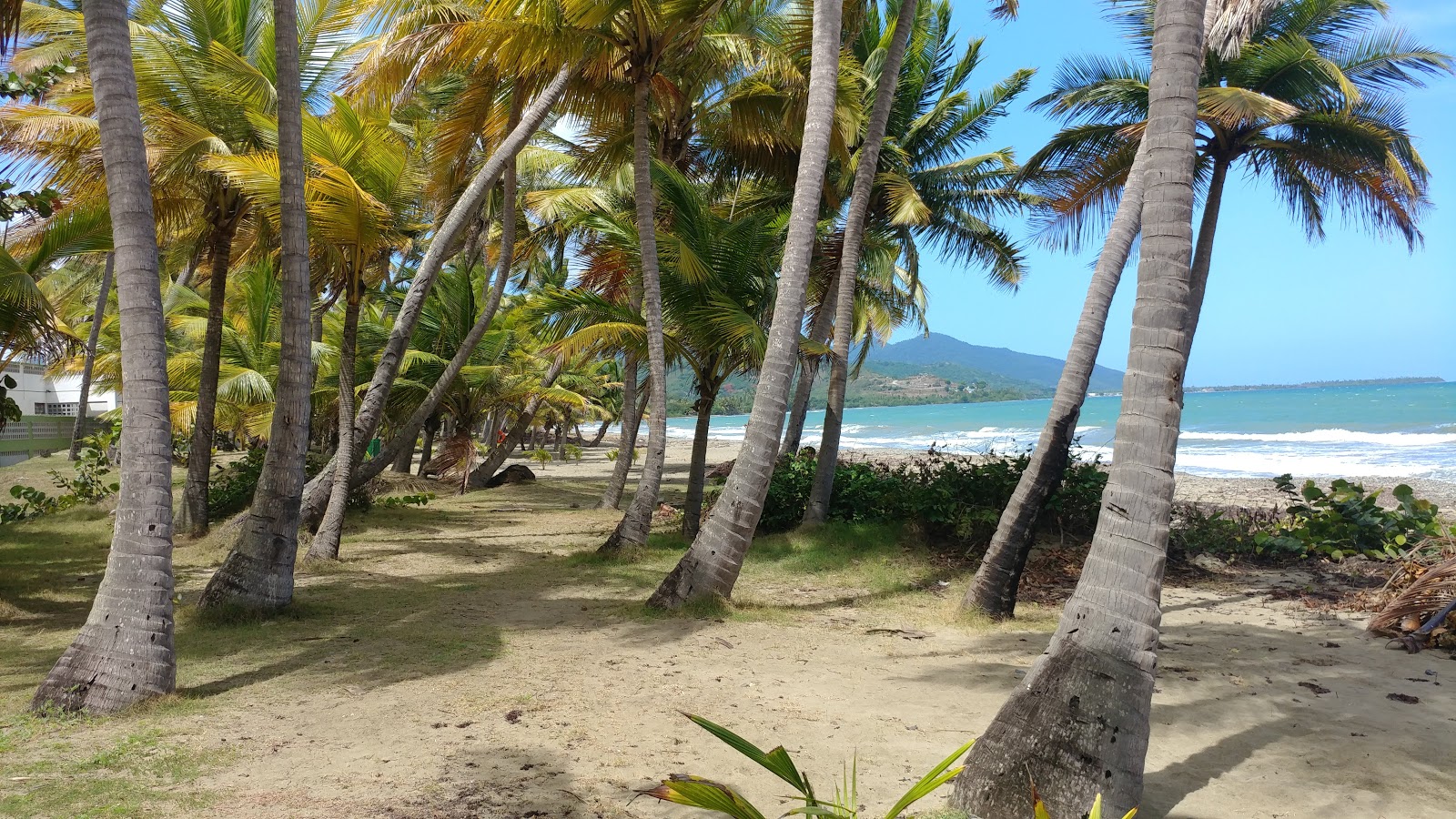 Photo de Playa Mar Del Sur avec droit et long