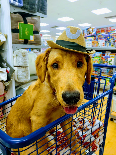 Department Store «Marshalls», reviews and photos, 1000 Florin Rd, Sacramento, CA 95831, USA