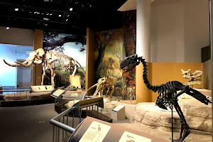Sam Noble Oklahoma Museum of Natural History image