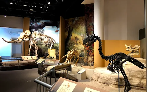 Sam Noble Oklahoma Museum of Natural History image