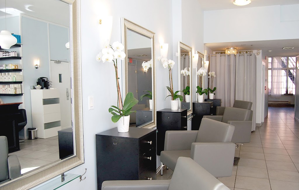 Cynthia K Salon 02116