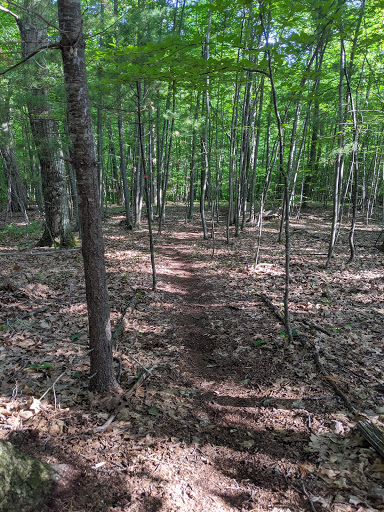 Moreland Woods Trailhead