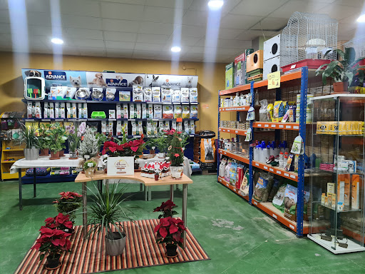 Piensos El Albero en Ontígola, Toledo