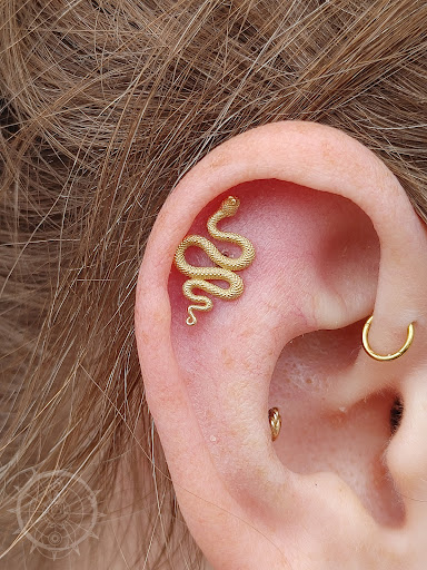 Body Piercing Shop «Steel N Ink Tattoo & Body Piercing», reviews and photos, 429 Water St, Eau Claire, WI 54703, USA