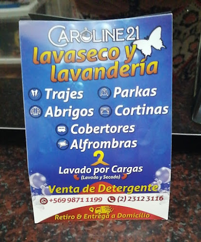 Opiniones de Lavaseco Caroline21 en Pedro Aguirre Cerda - Lavandería