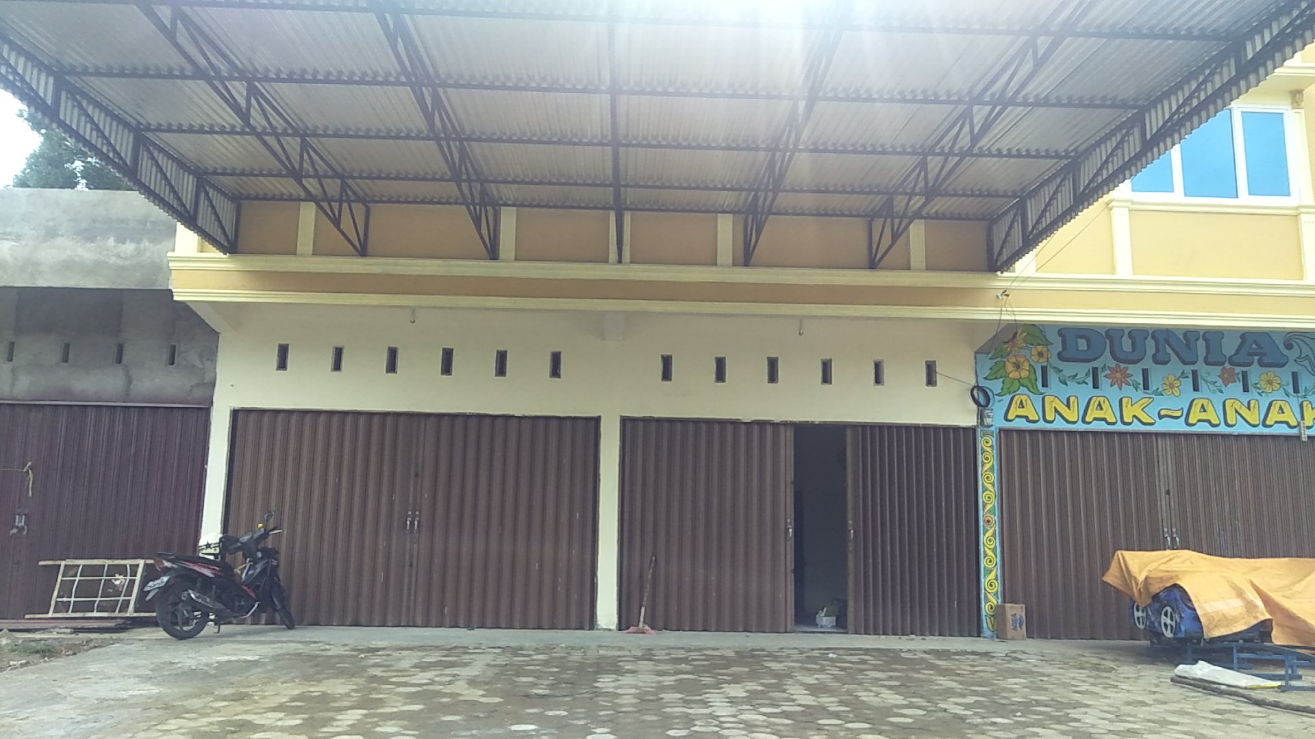 Gambar Palem Variasi