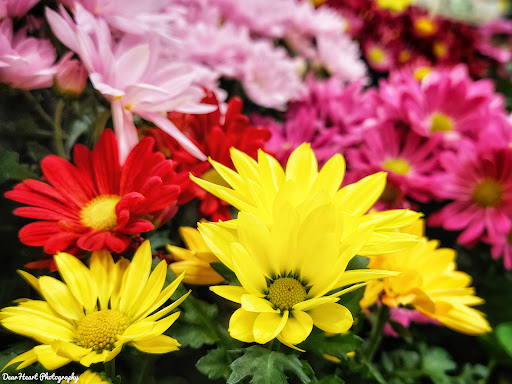 Home Improvement Store «The Home Depot», reviews and photos, 56 Myrick St, Ellsworth, ME 04605, USA