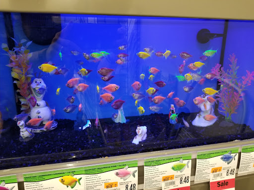 Pet Supply Store «Pet Supplies Plus», reviews and photos, 375 Paterson Ave #105, Wallington, NJ 07057, USA