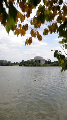 Monument «Thomas Jefferson Memorial», reviews and photos, 701 E Basin Dr SW, Washington, DC 20242, USA