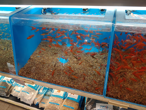 Pet Supply Store «PetSmart», reviews and photos, 190 Rt 10 West, East Hanover, NJ 07936, USA