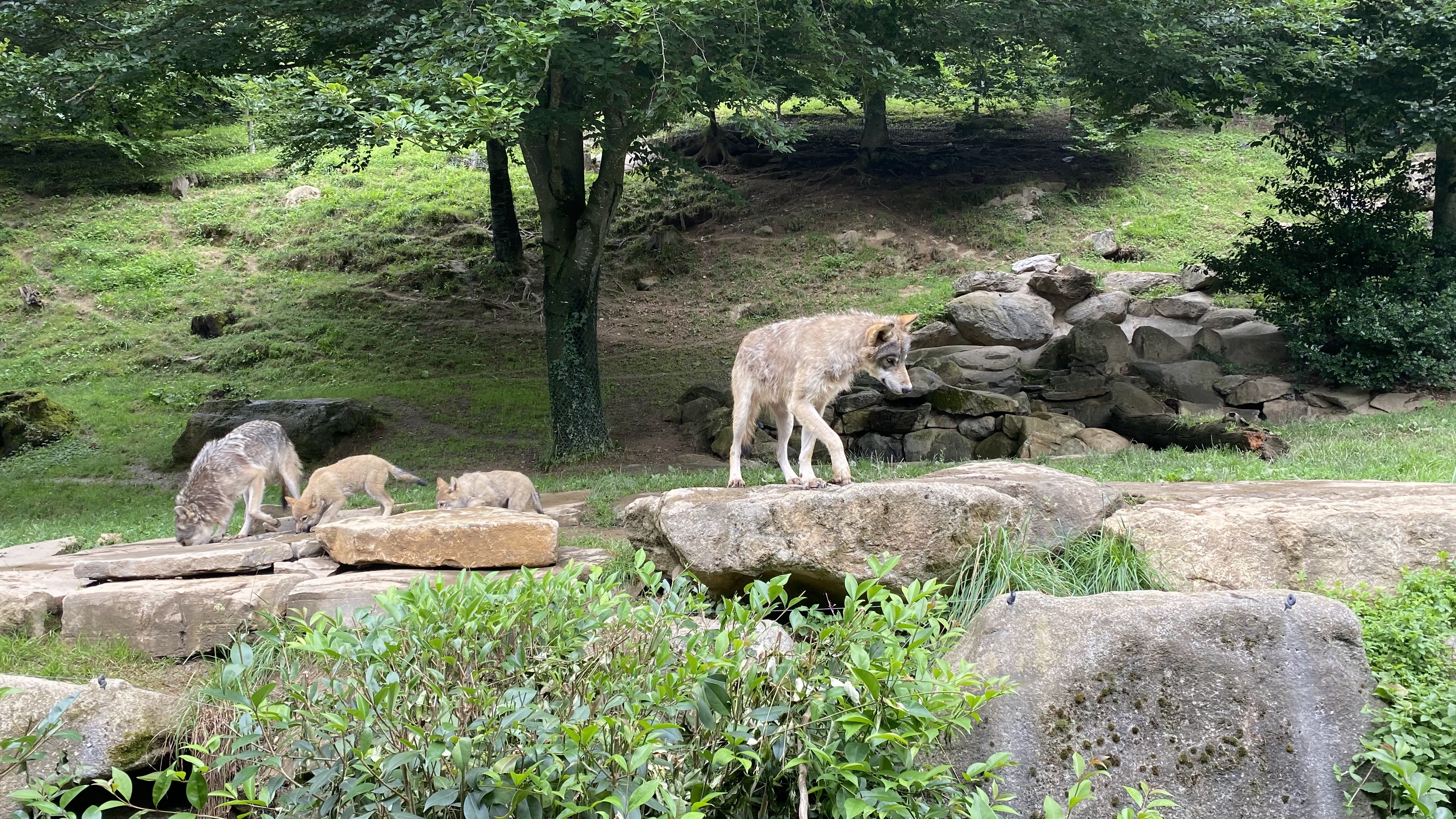 Photo n° 1 de l'avis de Jérémie.o fait le 10/07/2021 à 20:40