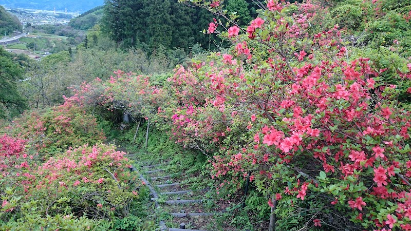 川谷つつじ山公園