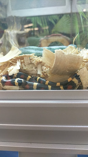 Pet Store «PetSmart», reviews and photos, 17150 Ventura Blvd, Encino, CA 91316, USA