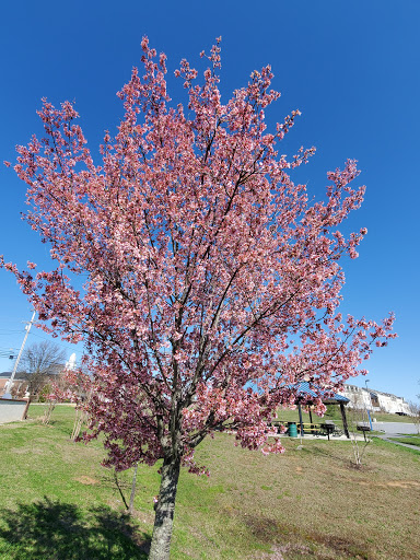 Park «Gough Park», reviews and photos, 9300 Honeygo Blvd, Perry Hall, MD 21128, USA