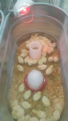 Home Improvement Store «Tractor Supply Co.», reviews and photos, 256 US-206 #13, Hillsborough Township, NJ 08844, USA