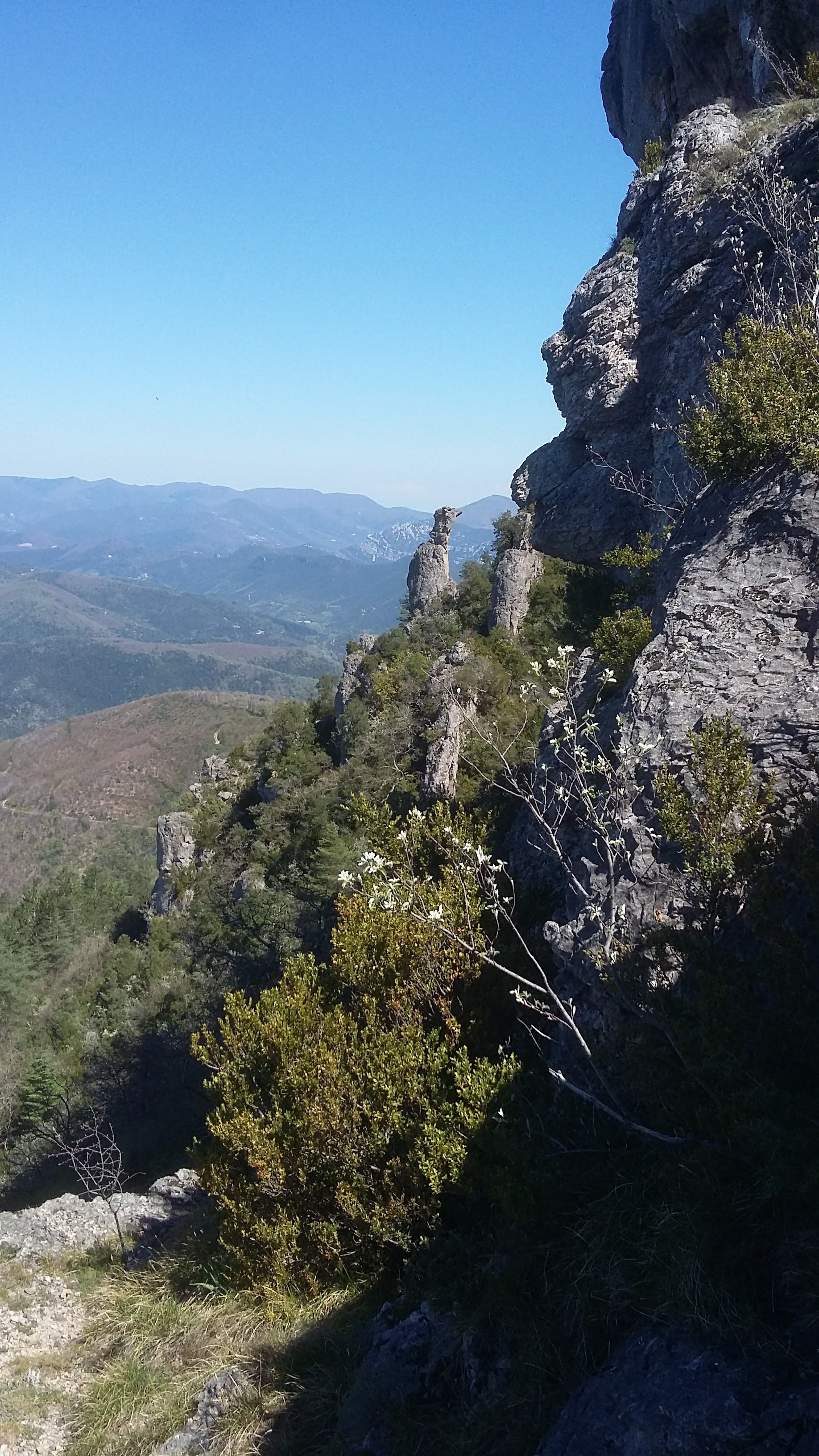 Photo n° 4 de l'avis de Nicolas.a fait le 21/11/2017 à 12:06