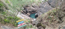 Foto de Gruta de Ponta Negra área selvagem