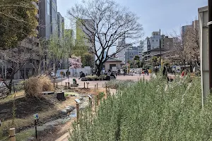 Tsukijigawa Park image