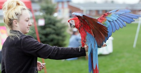 Pet Store «Tanks Pet Supply», reviews and photos, 628 S Main St, Princeton, IL 61356, USA