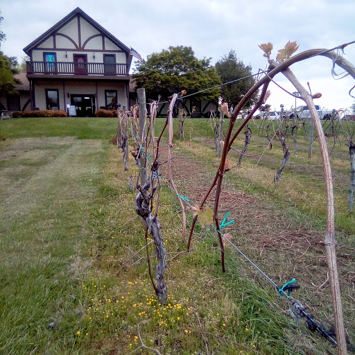 Vineyard «Beachaven Vineyards & Winery», reviews and photos, 1100 Dunlop Ln, Clarksville, TN 37040, USA