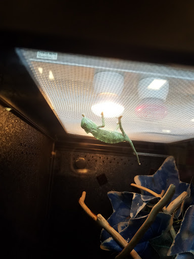 Pet Supply Store «PetSmart», reviews and photos, 5465 Dressler Rd NW, North Canton, OH 44720, USA