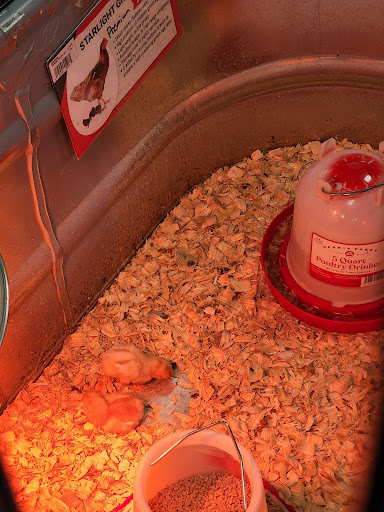 Home Improvement Store «Tractor Supply Co.», reviews and photos, 115 Greystone Power Blvd, Dallas, GA 30157, USA