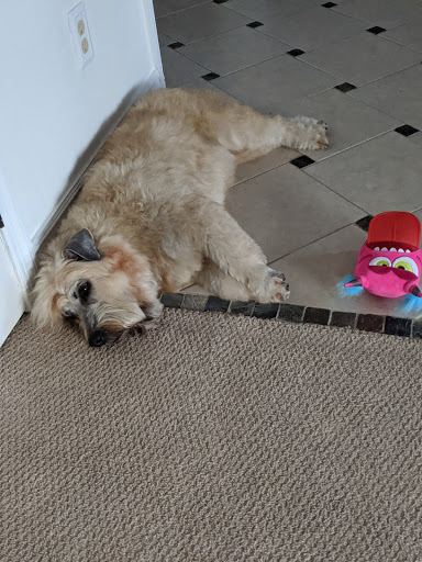 Pet Supply Store «PetSmart», reviews and photos, 4516 U.S. 9, Howell, NJ 07731, USA