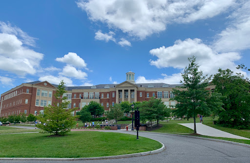 University «Radford University», reviews and photos