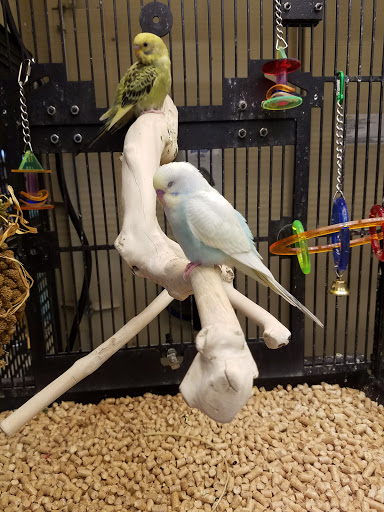 Pet Supply Store «PetSmart», reviews and photos, 4485 24th Ave, Fort Gratiot Twp, MI 48059, USA