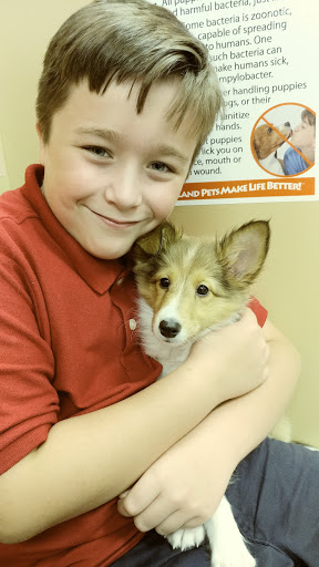 Pet Store «Petland», reviews and photos, 920 Hebron Rd, Heath, OH 43056, USA