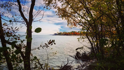 Nature Preserve «Kenosha Sand Dunes», reviews and photos, 7th Ave, Pleasant Prairie, WI 53158, USA