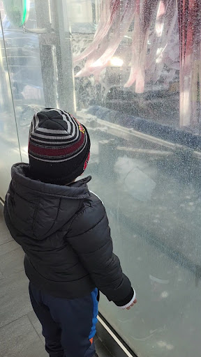 Car Wash «Razzle Dazzle Car Wash», reviews and photos, 5 Beechwood Ave, Port Washington, NY 11050, USA