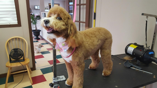 Grooming Tails Pet Spa image