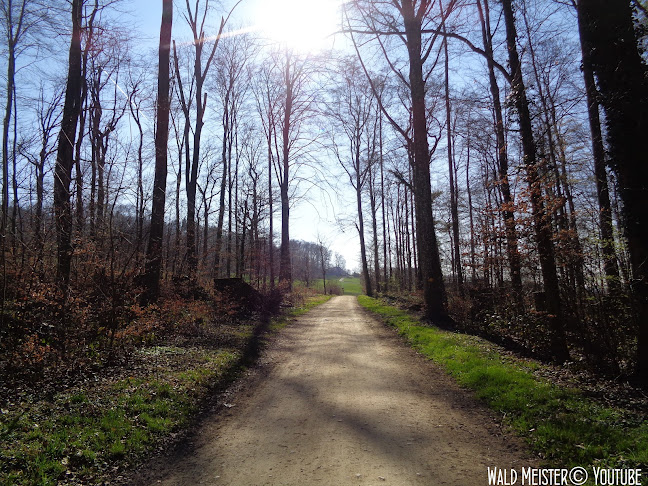 Kommentare und Rezensionen über Eselhallenweg-Wegweiser