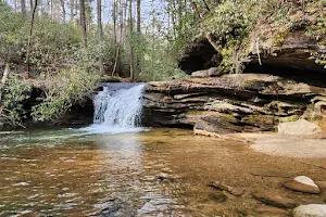 Carrick Creek Falls image