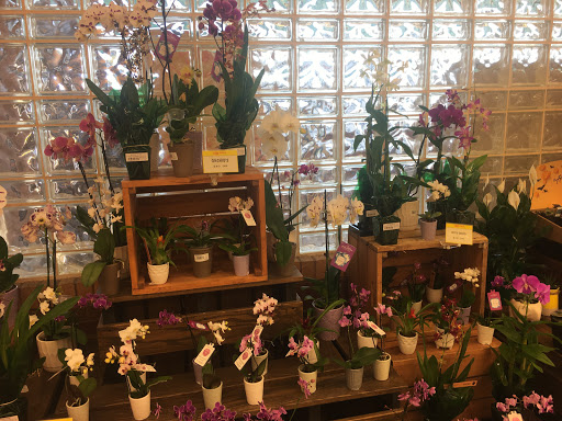 Grocery Store «Ingles Market», reviews and photos, 7173 Turner Lake Rd NW, Covington, GA 30014, USA